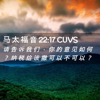 Picture 02 - 马 太 福 音 22:17 CUVS - 请 告 诉 我 们 ， 你 的 意 见 如 何 - Bible Verse Picture
