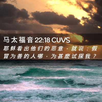Picture 02 - 马 太 福 音 22:18 CUVS - 耶 稣 看 出 他 们 的 恶 意 ， 就 说 - Bible Verse Picture