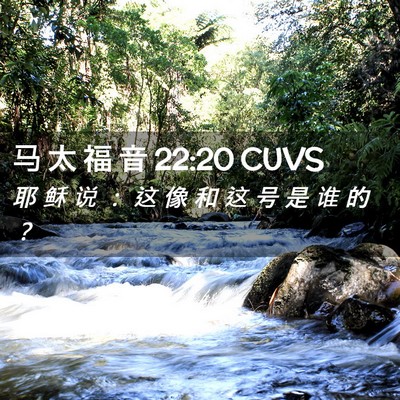 Picture 02 - 马 太 福 音 22:20 CUVS - 耶 稣 说 ： 这 像 和 这 号 是 谁 的 - Bible Verse Picture