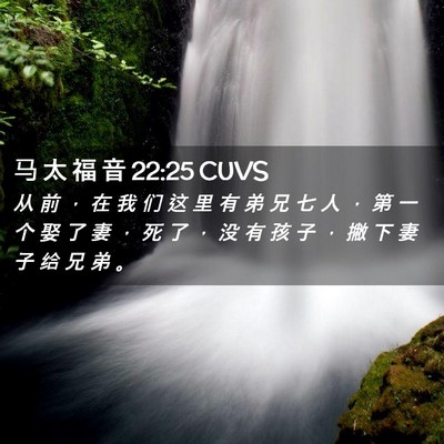 Picture 02 - 马 太 福 音 22:25 CUVS - 从 前 ， 在 我 们 这 里 有 弟 兄 七 - Bible Verse Picture