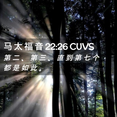 Picture 02 - 马 太 福 音 22:26 CUVS - 第 二 、 第 三 、 直 到 第 七 个 ， - Bible Verse Picture