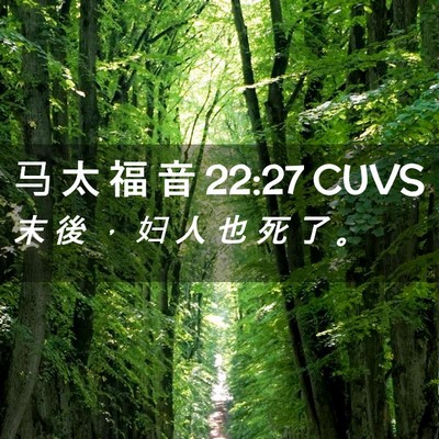 Picture 02 - 马 太 福 音 22:27 CUVS - 末 後 ， 妇 人 也 死 了 - Bible Verse Picture