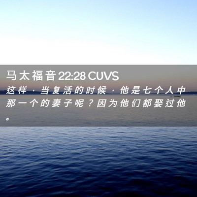Picture 02 - 马 太 福 音 22:28 CUVS - 这 样 ， 当 复 活 的 时 候 ， 他 是 - Bible Verse Picture