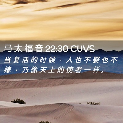Picture 02 - 马 太 福 音 22:30 CUVS - 当 复 活 的 时 候 ， 人 也 不 娶 也 - Bible Verse Picture