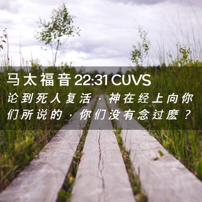 Picture 02 - 马 太 福 音 22:31 CUVS - 论 到 死 人 复 活 ， 神 在 经 上 向 - Bible Verse Picture
