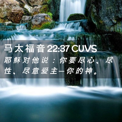 Picture 02 - 马 太 福 音 22:37 CUVS - 耶 稣 对 他 说 ： 你 要 尽 心 、 尽 - Bible Verse Picture