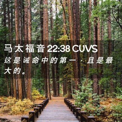 Picture 02 - 马 太 福 音 22:38 CUVS - 这 是 诫 命 中 的 第 一 ， 且 是 最 - Bible Verse Picture