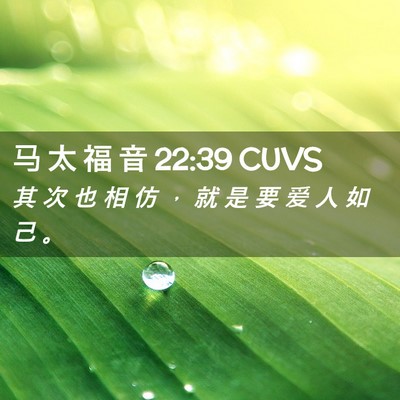 Picture 02 - 马 太 福 音 22:39 CUVS - 其 次 也 相 仿 ， 就 是 要 爱 人 如 - Bible Verse Picture