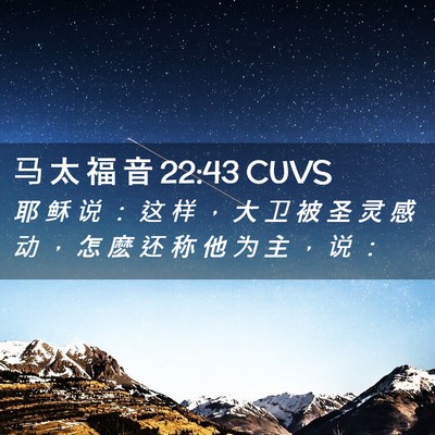 Picture 02 - 马 太 福 音 22:43 CUVS - 耶 稣 说 ： 这 样 ， 大 卫 被 圣 灵 - Bible Verse Picture