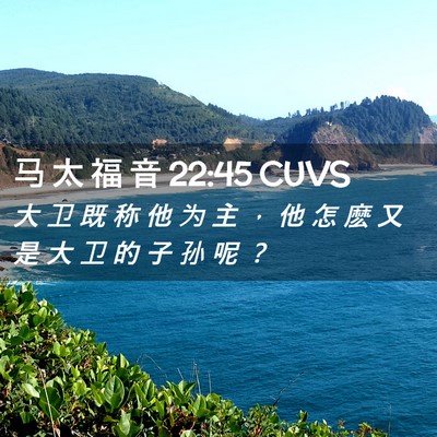 Picture 02 - 马 太 福 音 22:45 CUVS - 大 卫 既 称 他 为 主 ， 他 怎 麽 又 - Bible Verse Picture