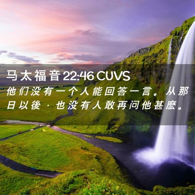 Picture 02 - 马 太 福 音 22:46 CUVS - 他 们 没 有 一 个 人 能 回 答 一 言 - Bible Verse Picture