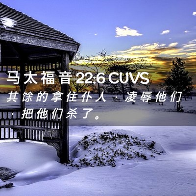 Picture 02 - 马 太 福 音 22:6 CUVS - 其 馀 的 拿 住 仆 人 ， 凌 辱 他 们 - Bible Verse Picture
