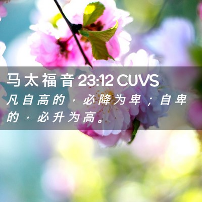 Picture 02 - 马 太 福 音 23:12 CUVS - 凡 自 高 的 ， 必 降 为 卑 ； 自 卑 - Bible Verse Picture