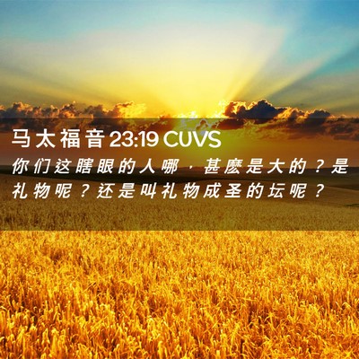 Picture 02 - 马 太 福 音 23:19 CUVS - 你 们 这 瞎 眼 的 人 哪 ， 甚 麽 是 - Bible Verse Picture