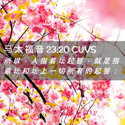 Picture 02 - 马 太 福 音 23:20 CUVS - 所 以 ， 人 指 着 坛 起 誓 ， 就 是 - Bible Verse Picture