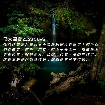 Picture 02 - 马 太 福 音 23:23 CUVS - 你 们 这 假 冒 为 善 的 文 士 和 法 - Bible Verse Picture
