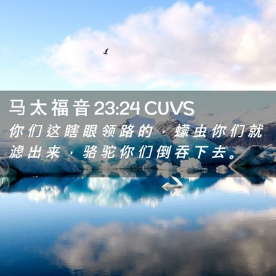 Picture 02 - 马 太 福 音 23:24 CUVS - 你 们 这 瞎 眼 领 路 的 ， 蠓 虫 你 - Bible Verse Picture