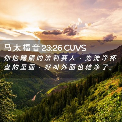Picture 02 - 马 太 福 音 23:26 CUVS - 你 这 瞎 眼 的 法 利 赛 人 ， 先 洗 - Bible Verse Picture