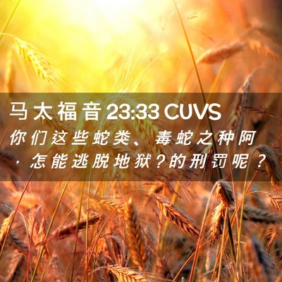 Picture 02 - 马 太 福 音 23:33 CUVS - 你 们 这 些 蛇 类 、 毒 蛇 之 种 阿 - Bible Verse Picture