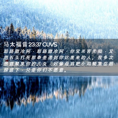 Picture 02 - 马 太 福 音 23:37 CUVS - 耶 路 撒 冷 阿 ， 耶 路 撒 冷 阿 ， - Bible Verse Picture