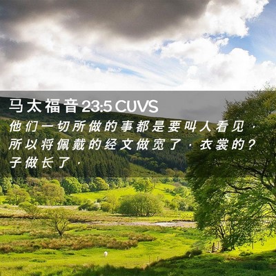 Picture 02 - 马 太 福 音 23:5 CUVS - 他 们 一 切 所 做 的 事 都 是 要 叫 - Bible Verse Picture