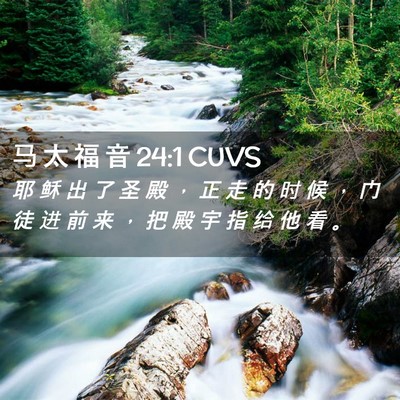 Picture 02 - 马 太 福 音 24:1 CUVS - 耶 稣 出 了 圣 殿 ， 正 走 的 时 候 - Bible Verse Picture