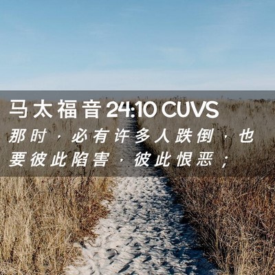 Picture 02 - 马 太 福 音 24:10 CUVS - 那 时 ， 必 有 许 多 人 跌 倒 ， 也 - Bible Verse Picture