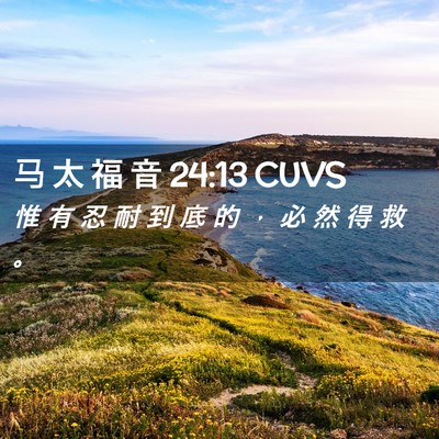 Picture 02 - 马 太 福 音 24:13 CUVS - 惟 有 忍 耐 到 底 的 ， 必 然 得 救 - Bible Verse Picture