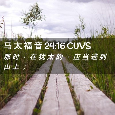 Picture 02 - 马 太 福 音 24:16 CUVS - 那 时 ， 在 犹 太 的 ， 应 当 逃 到 - Bible Verse Picture