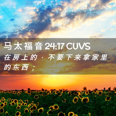 Picture 02 - 马 太 福 音 24:17 CUVS - 在 房 上 的 ， 不 要 下 来 拿 家 里 - Bible Verse Picture