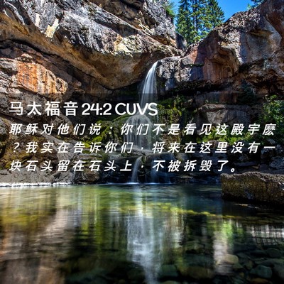 Picture 02 - 马 太 福 音 24:2 CUVS - 耶 稣 对 他 们 说 ： 你 们 不 是 看 - Bible Verse Picture