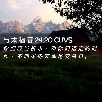 Picture 02 - 马 太 福 音 24:20 CUVS - 你 们 应 当 祈 求 ， 叫 你 们 逃 走 - Bible Verse Picture