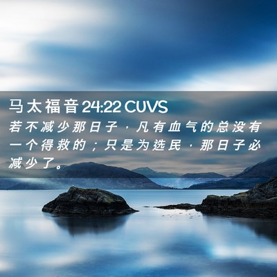 Picture 02 - 马 太 福 音 24:22 CUVS - 若 不 减 少 那 日 子 ， 凡 有 血 气 - Bible Verse Picture