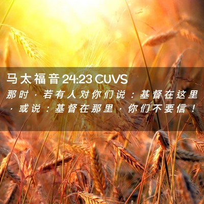 Picture 02 - 马 太 福 音 24:23 CUVS - 那 时 ， 若 有 人 对 你 们 说 ： 基 - Bible Verse Picture