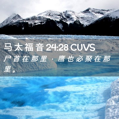 Picture 02 - 马 太 福 音 24:28 CUVS - 尸 首 在 那 里 ， 鹰 也 必 聚 在 那 - Bible Verse Picture