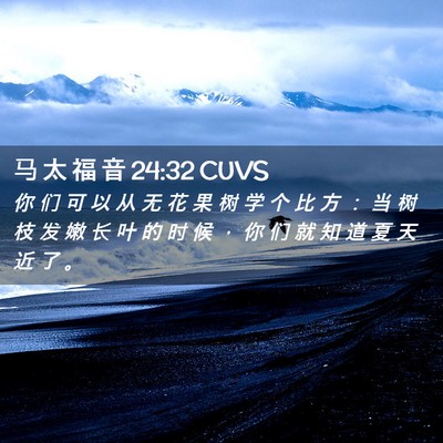 Picture 02 - 马 太 福 音 24:32 CUVS - 你 们 可 以 从 无 花 果 树 学 个 比 - Bible Verse Picture