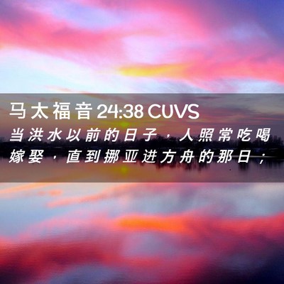 Picture 02 - 马 太 福 音 24:38 CUVS - 当 洪 水 以 前 的 日 子 ， 人 照 常 - Bible Verse Picture