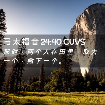 Picture 02 - 马 太 福 音 24:40 CUVS - 那 时 ， 两 个 人 在 田 里 ， 取 去 - Bible Verse Picture