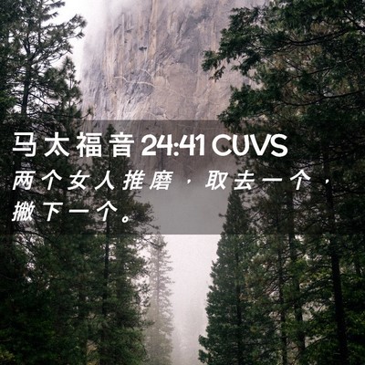 Picture 02 - 马 太 福 音 24:41 CUVS - 两 个 女 人 推 磨 ， 取 去 一 个 ， - Bible Verse Picture