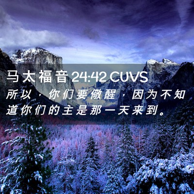 Picture 02 - 马 太 福 音 24:42 CUVS - 所 以 ， 你 们 要 儆 醒 ， 因 为 不 - Bible Verse Picture