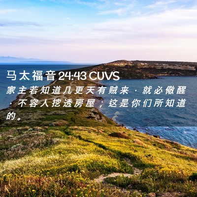 Picture 02 - 马 太 福 音 24:43 CUVS - 家 主 若 知 道 几 更 天 有 贼 来 ， - Bible Verse Picture