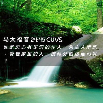 Picture 02 - 马 太 福 音 24:45 CUVS - 谁 是 忠 心 有 见 识 的 仆 人 ， 为 - Bible Verse Picture