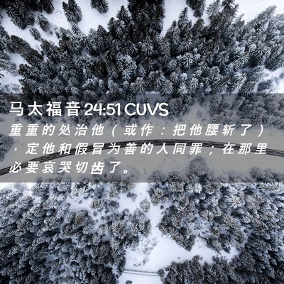 Picture 02 - 马 太 福 音 24:51 CUVS - 重 重 的 处 治 他 （ 或 作 ： 把 他 - Bible Verse Picture