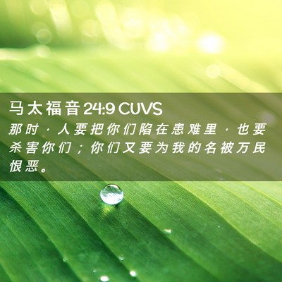 Picture 02 - 马 太 福 音 24:9 CUVS - 那 时 ， 人 要 把 你 们 陷 在 患 难 - Bible Verse Picture