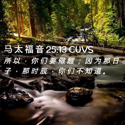 Picture 02 - 马 太 福 音 25:13 CUVS - 所 以 ， 你 们 要 儆 醒 ； 因 为 那 - Bible Verse Picture