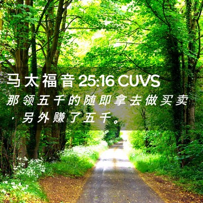 Picture 02 - 马 太 福 音 25:16 CUVS - 那 领 五 千 的 随 即 拿 去 做 买 卖 - Bible Verse Picture