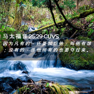 Picture 02 - 马 太 福 音 25:29 CUVS - 因 为 凡 有 的 ， 还 要 加 给 他 ， - Bible Verse Picture