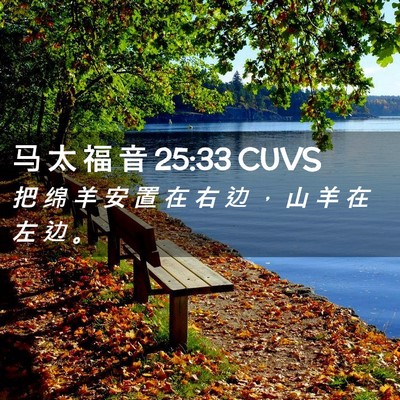 Picture 02 - 马 太 福 音 25:33 CUVS - 把 绵 羊 安 置 在 右 边 ， 山 羊 在 - Bible Verse Picture