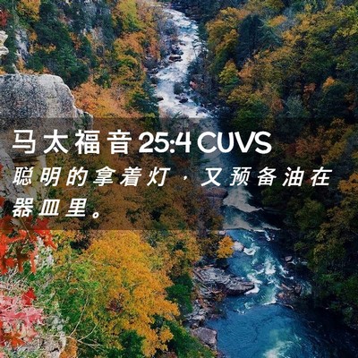 Picture 02 - 马 太 福 音 25:4 CUVS - 聪 明 的 拿 着 灯 ， 又 预 备 油 在 - Bible Verse Picture