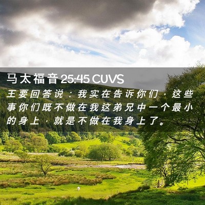 Picture 02 - 马 太 福 音 25:45 CUVS - 王 要 回 答 说 ： 我 实 在 告 诉 你 - Bible Verse Picture